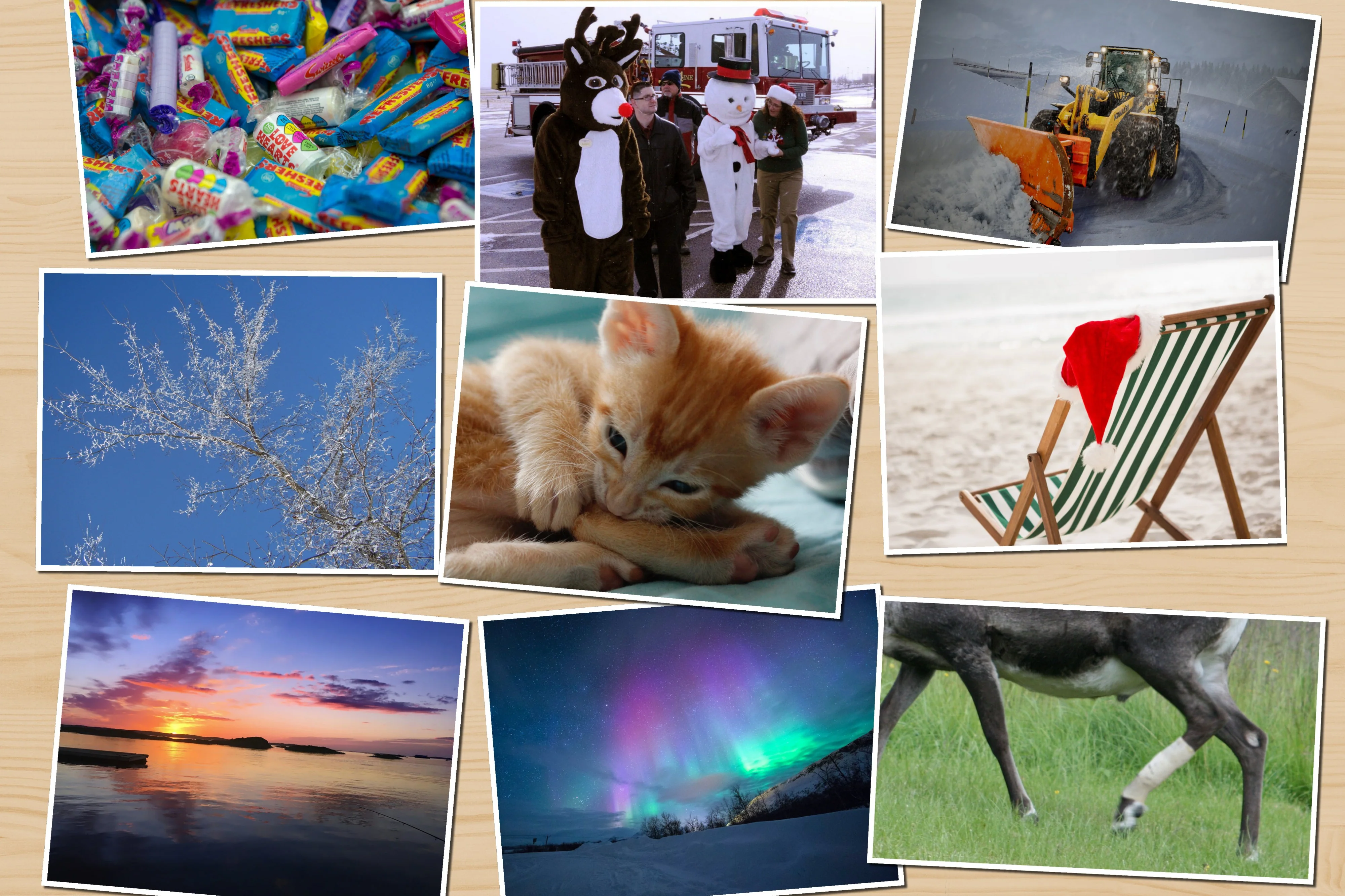 Thumbnail 12