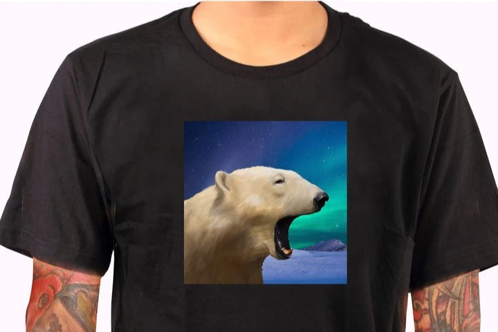 Thumbnail 10