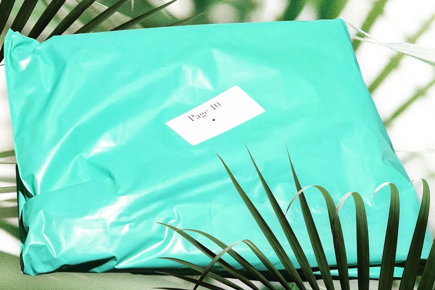 Thumbnail 17