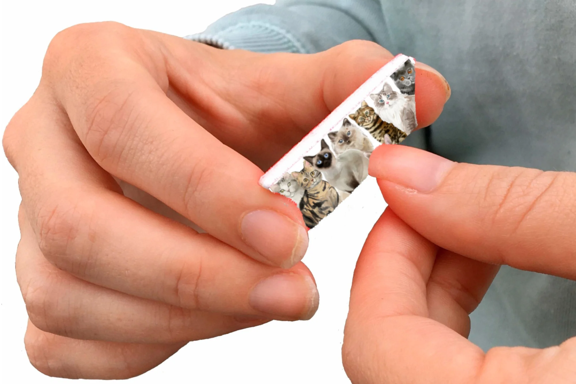 Thumbnail 15