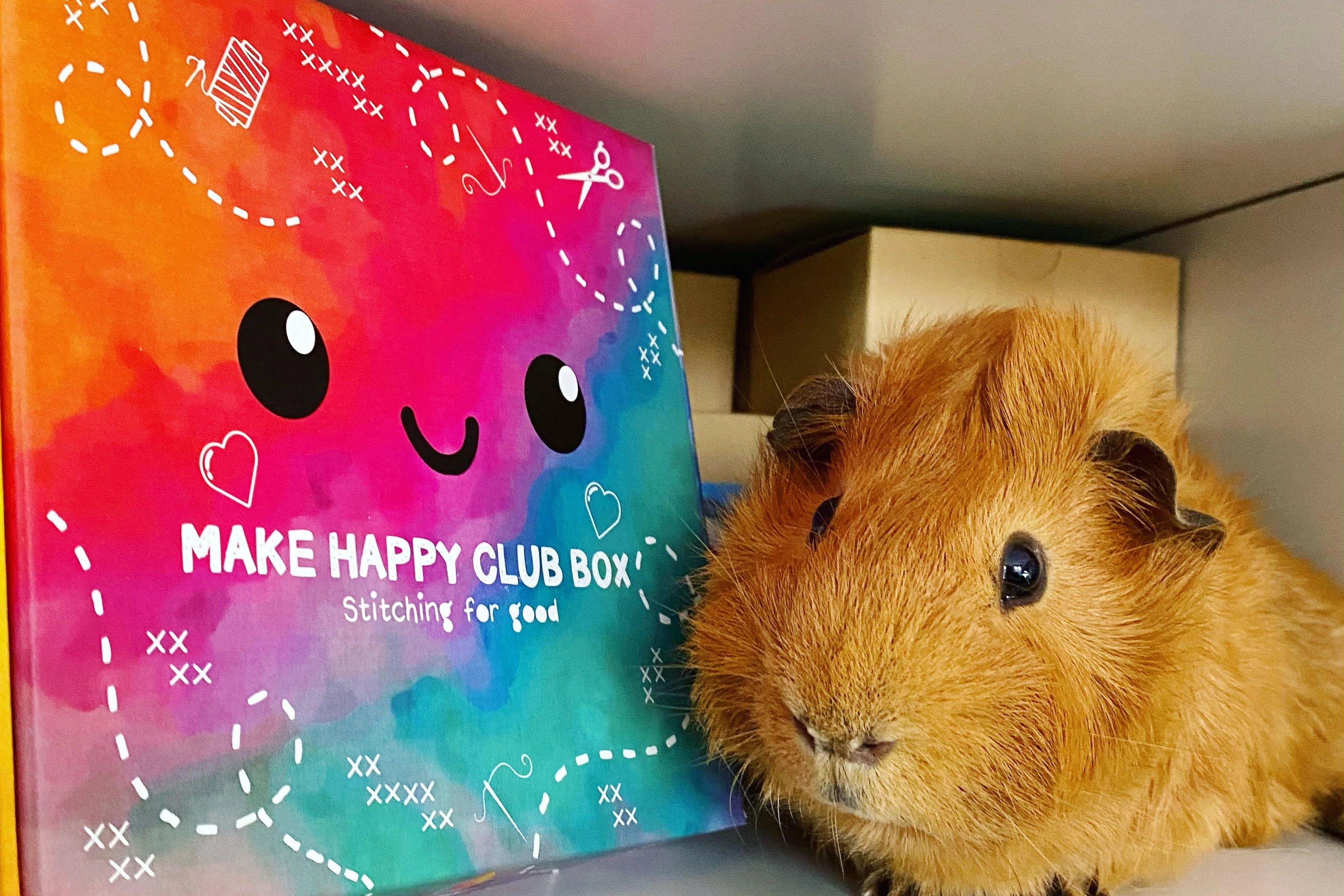 Thumbnail 7