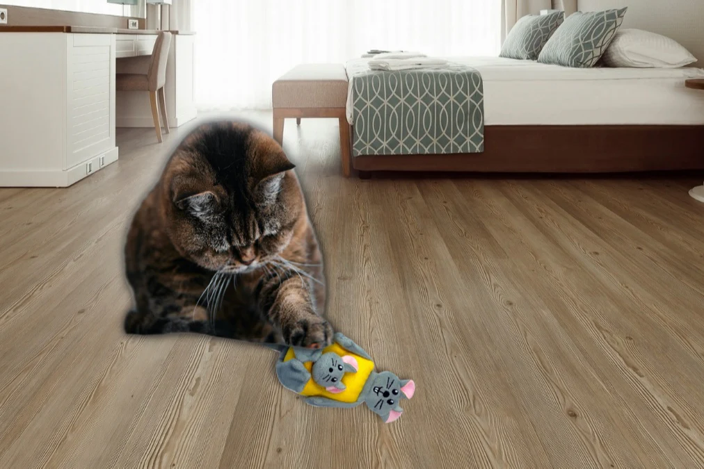 Thumbnail 14