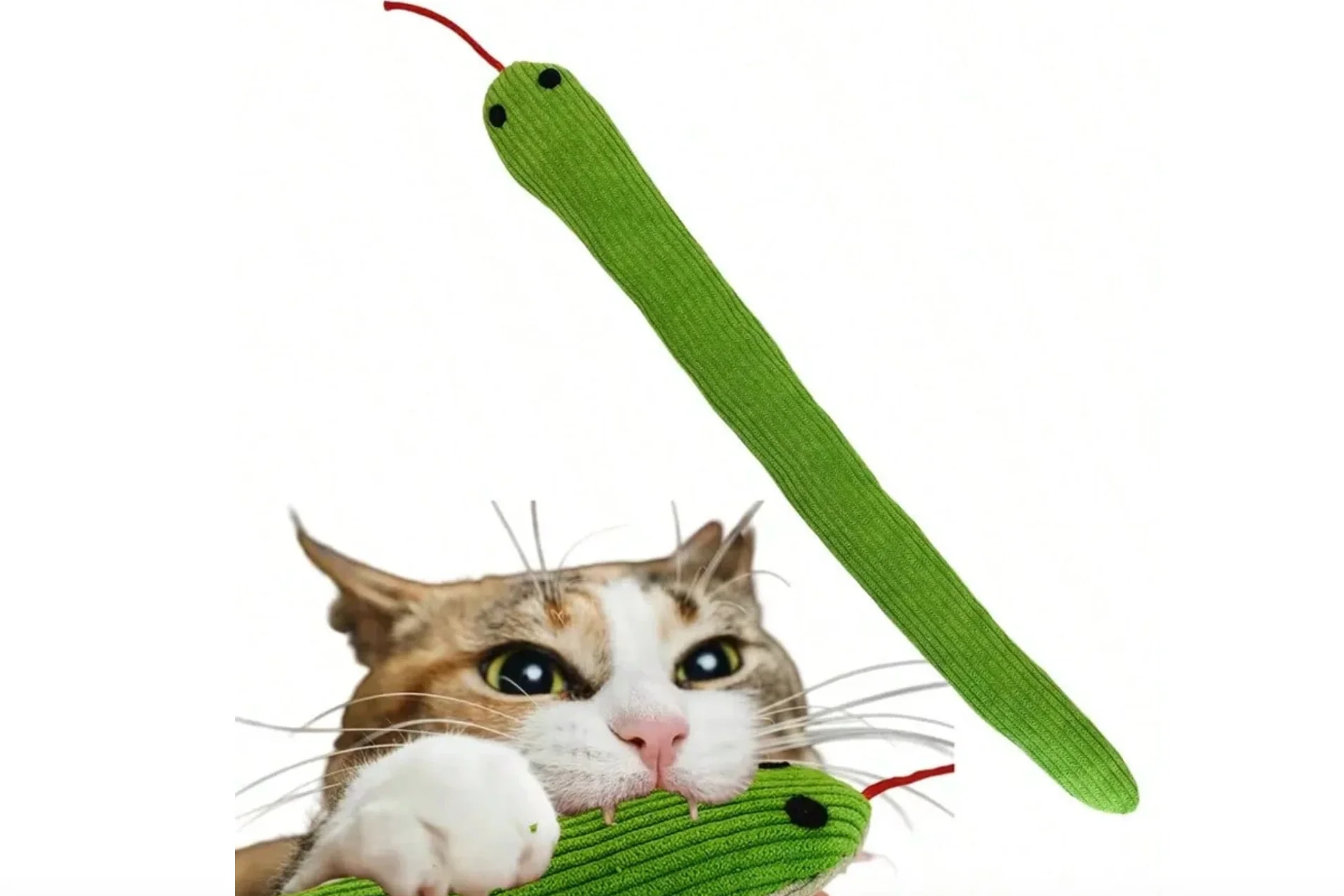 Thumbnail 3